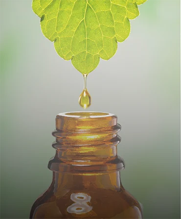 Functional Medicine New.