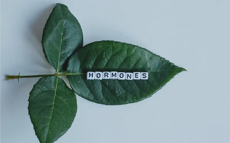 lifestyle hormone